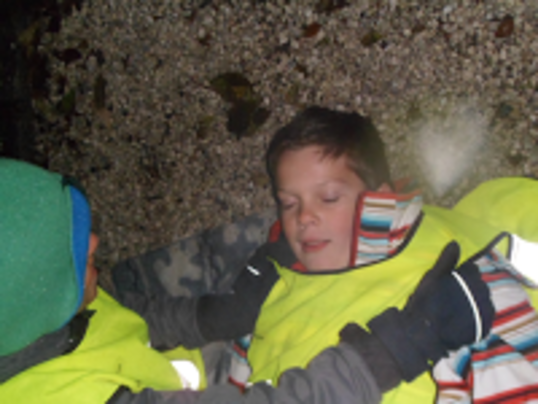 SAM_2081_small