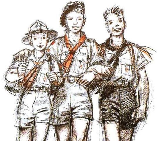 scout
